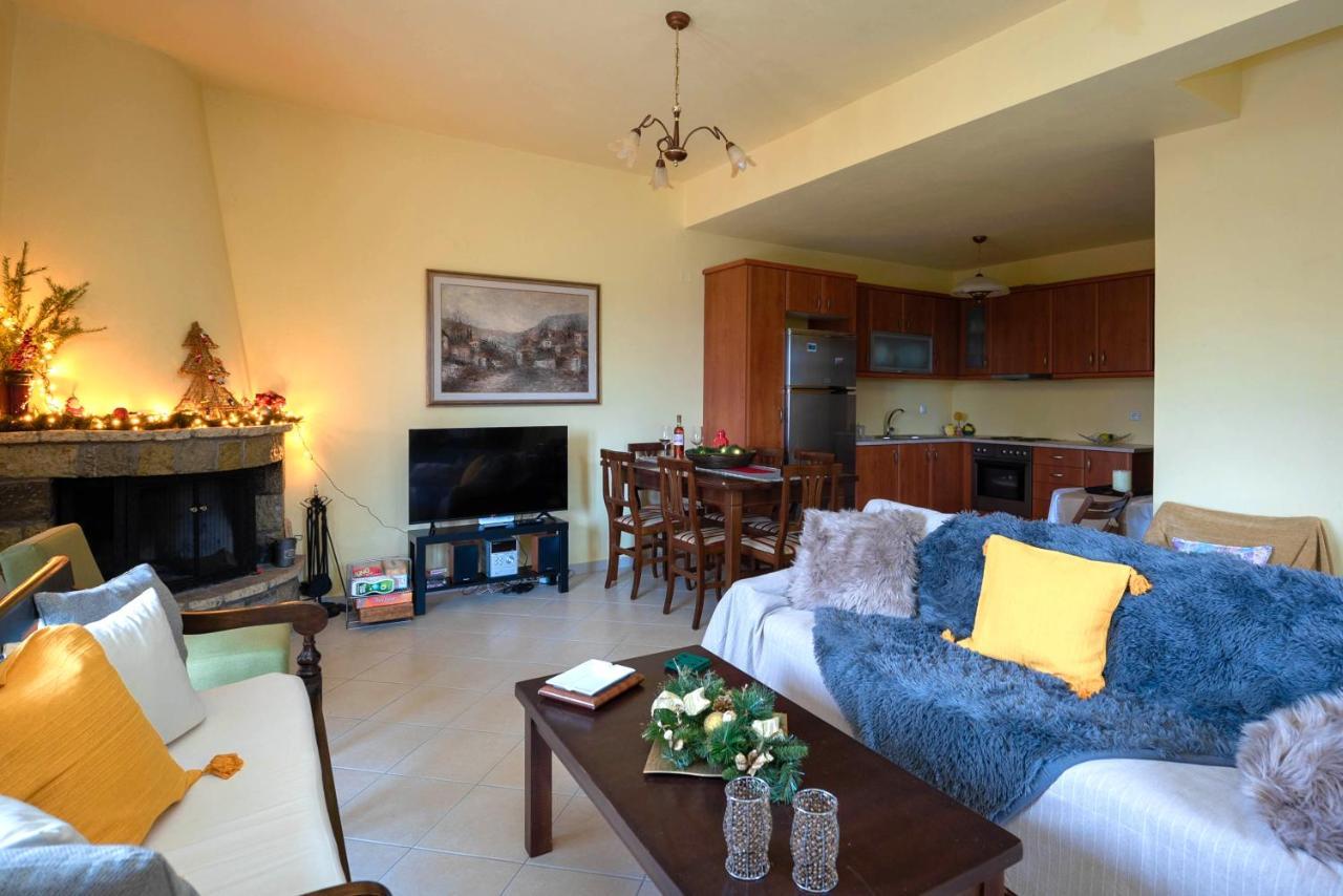 Meli Apartments Arachova Extérieur photo